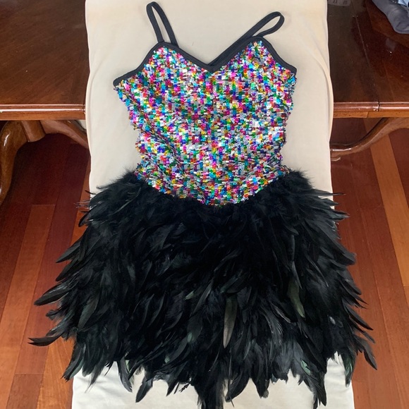 Curtain Call Costumes Other - Sequin & Feather Curtain Call Costumes / Craft piece